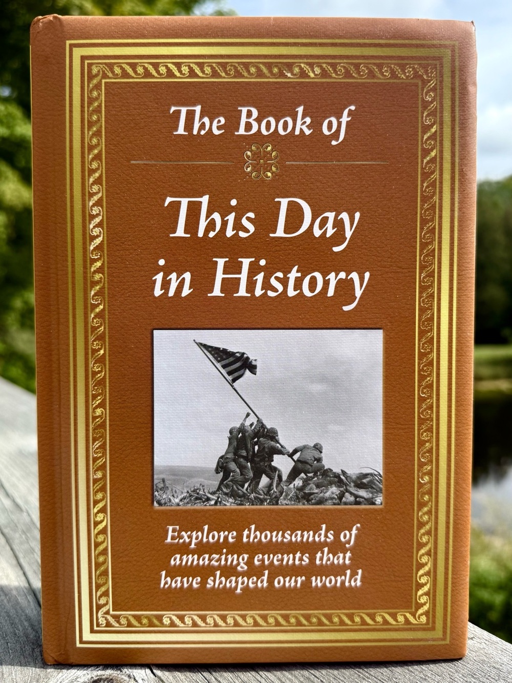 Brown Hardcover Book - This Day in History